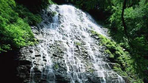 高标准智能化稳定性